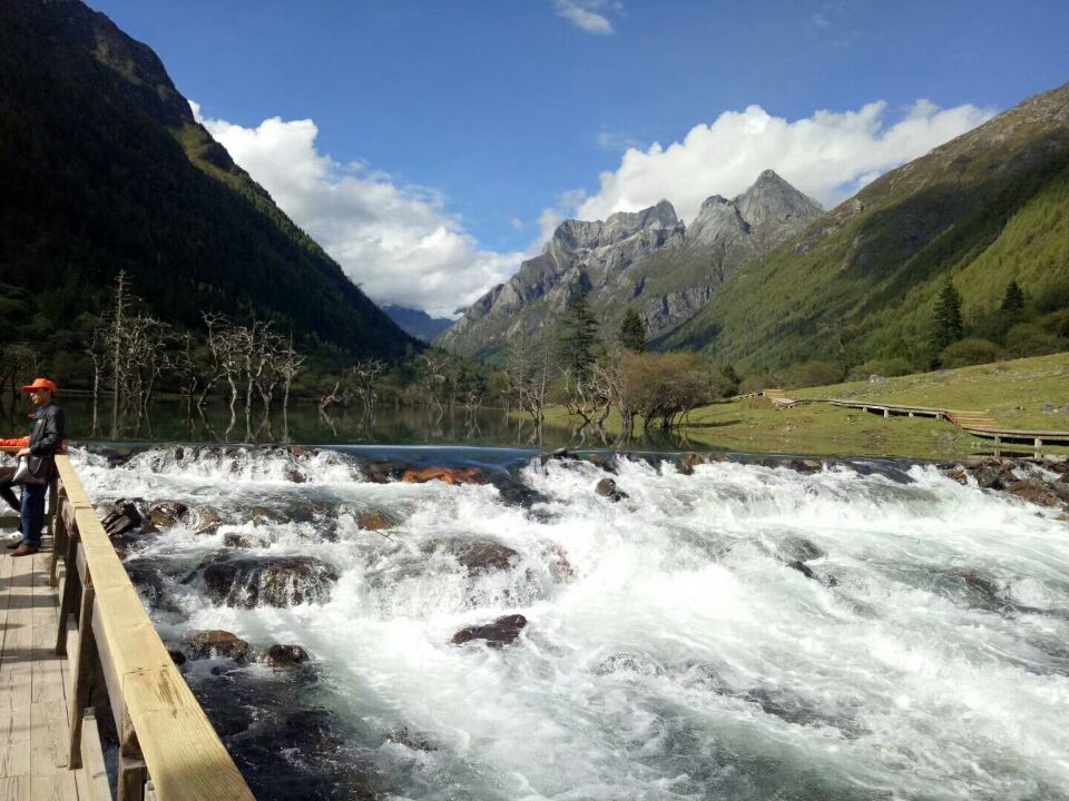 雙組份標線涂料