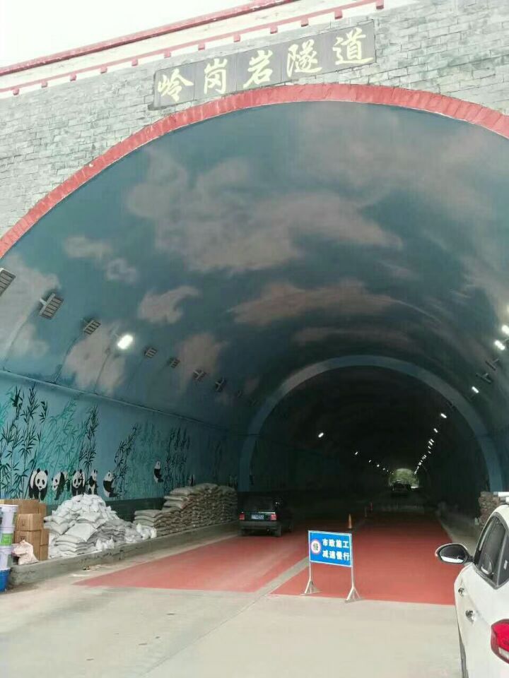 彩色防滑涂料成功案例